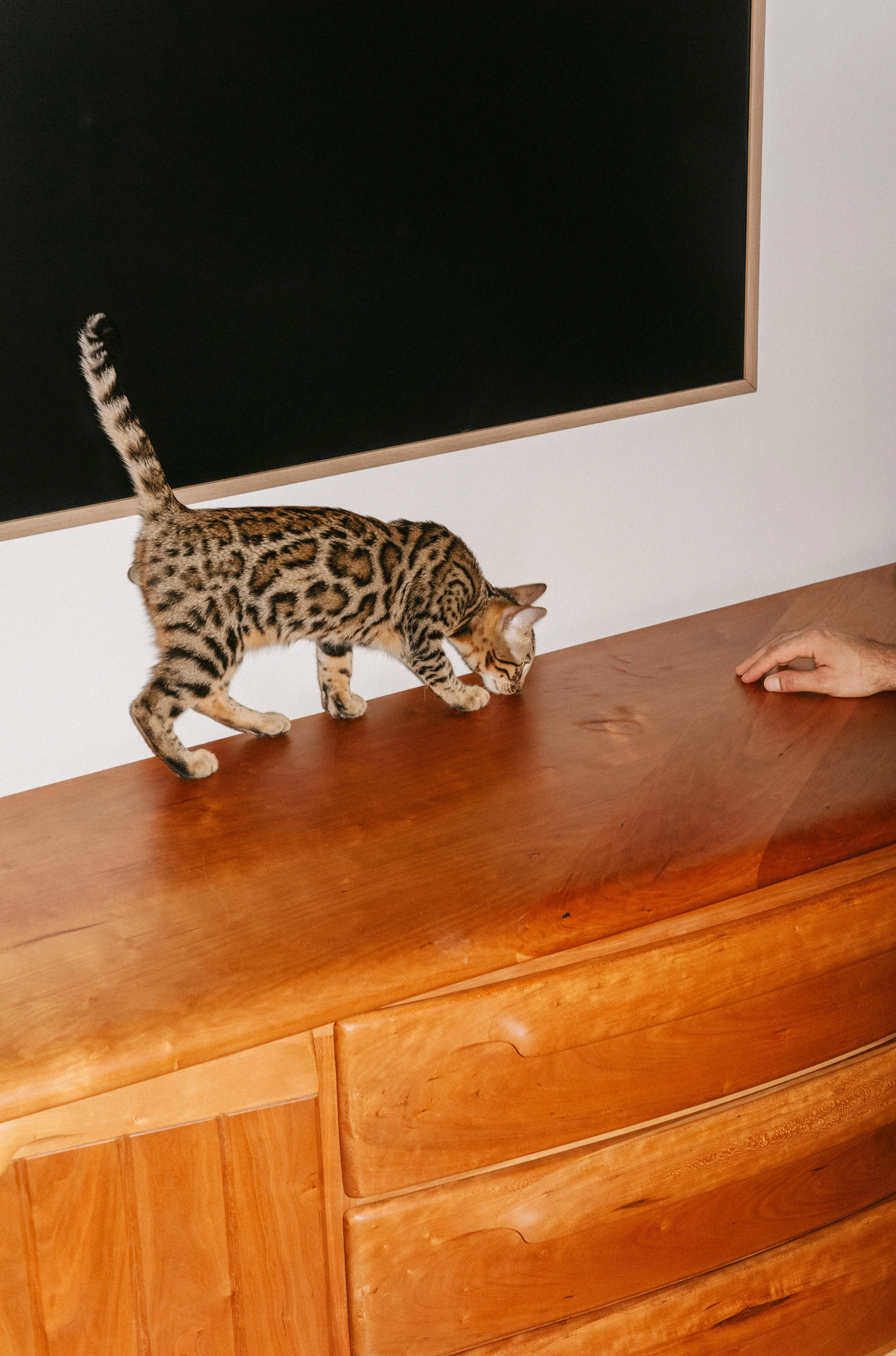 WORKS - Storage - Console - 006.jpg