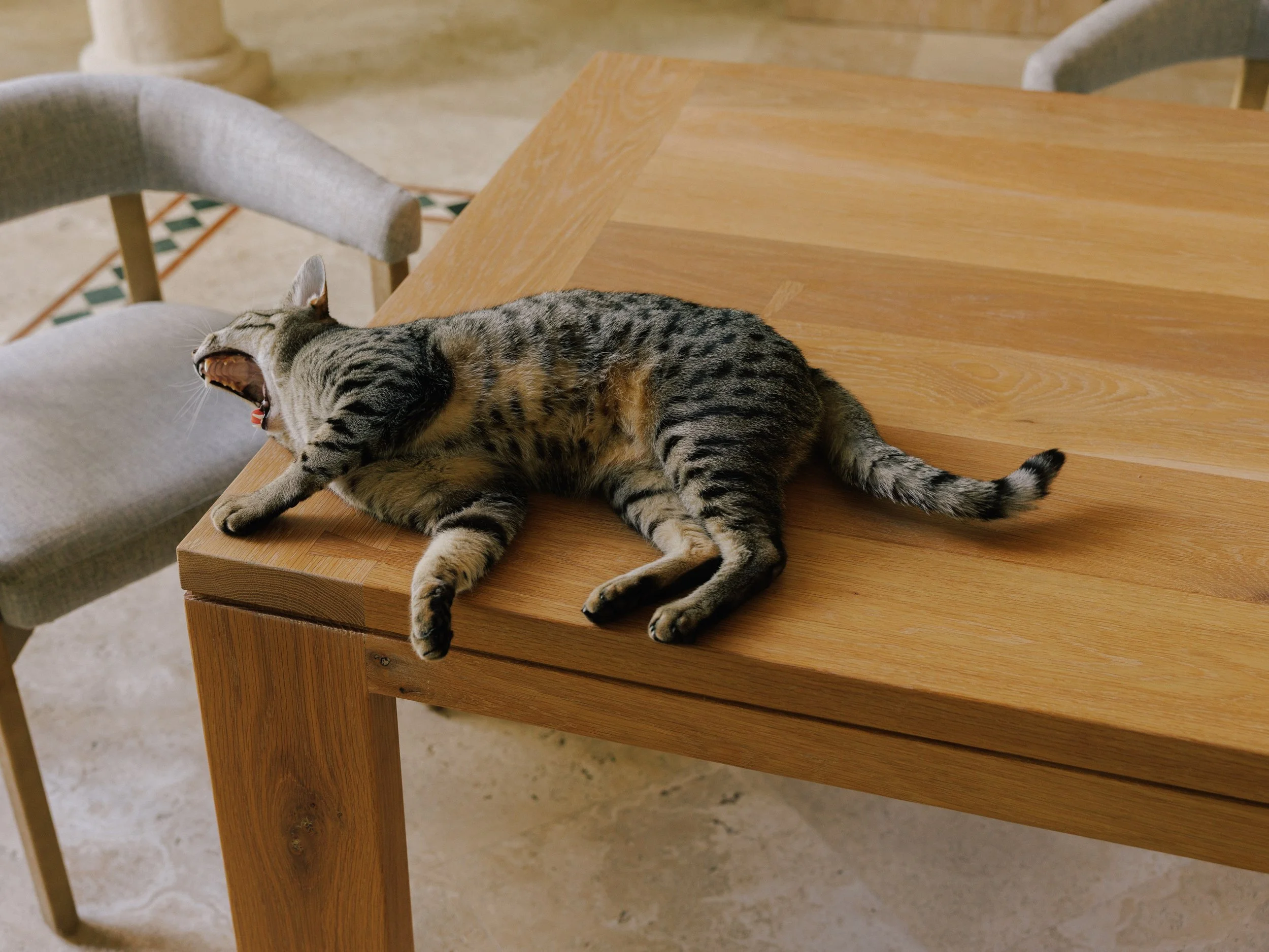 WORKS - Table - Dining - 007.jpg