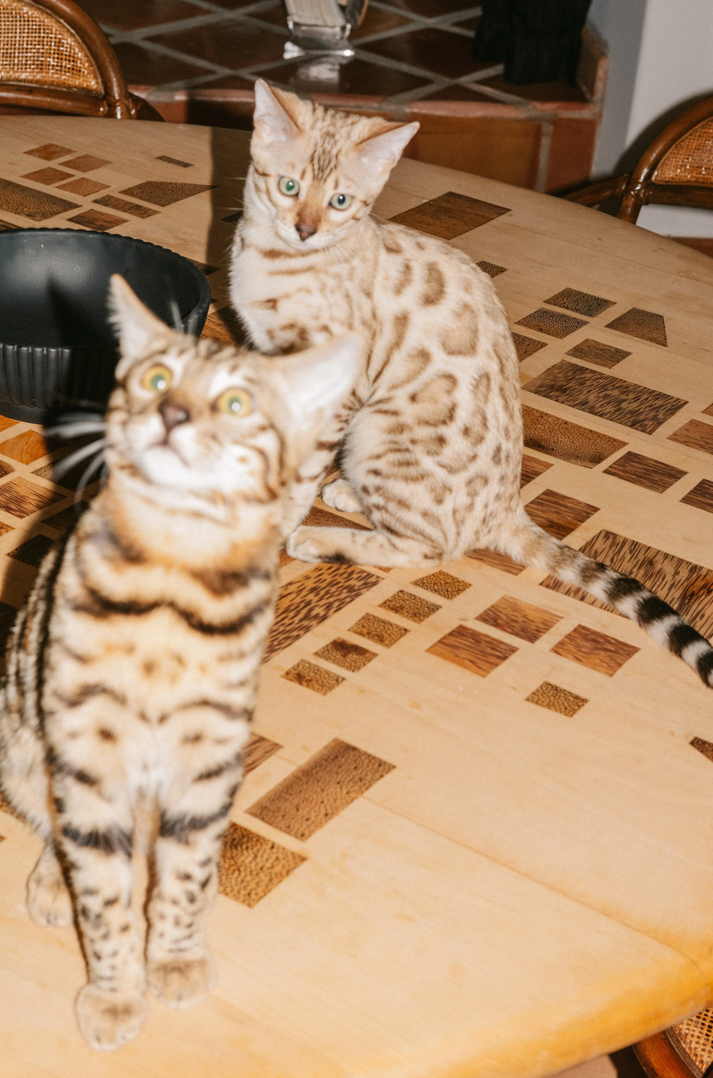 WORKS - Table - Round - 011.jpg