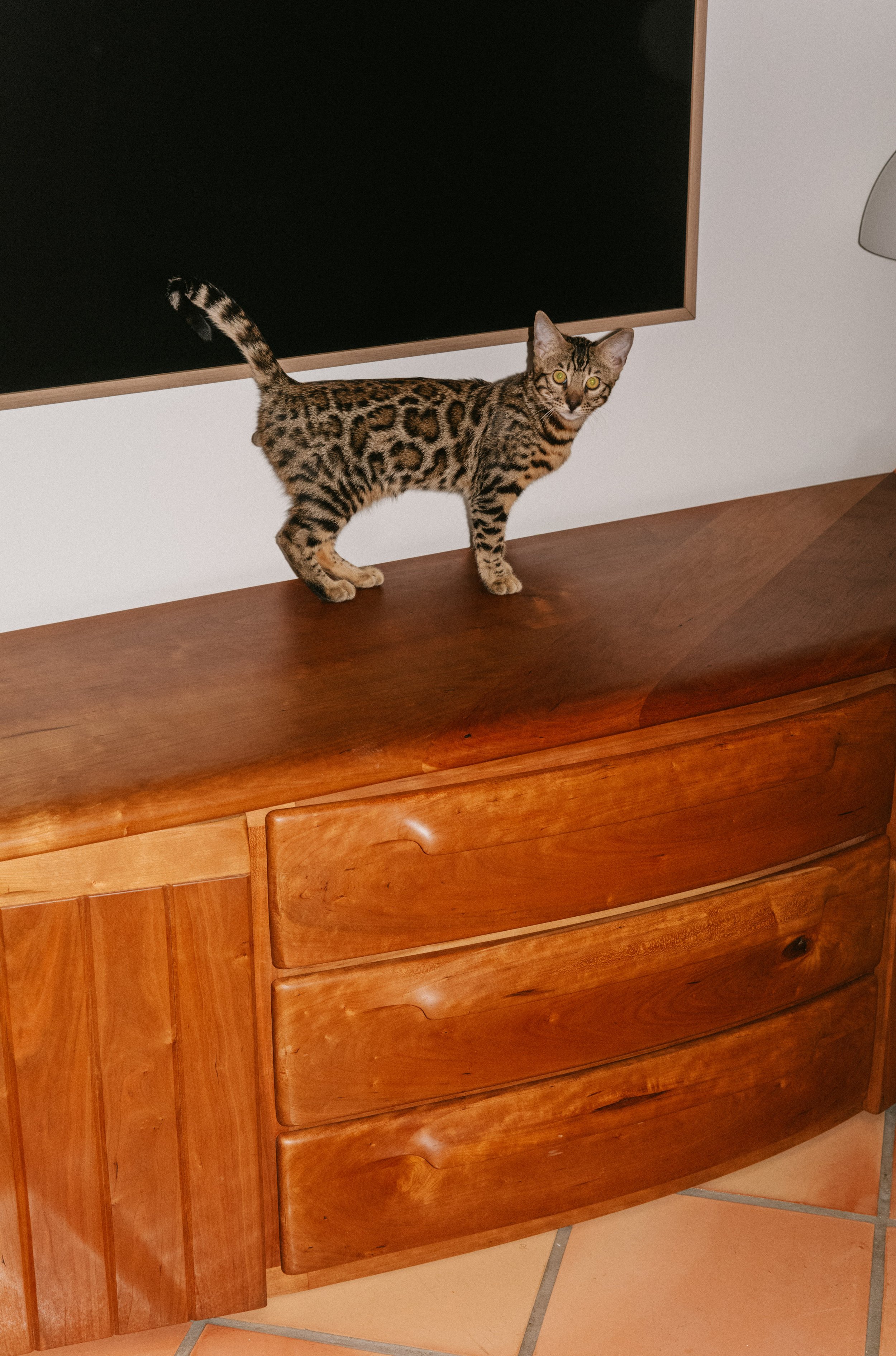 WORKS - Storage - Console - 007.jpg