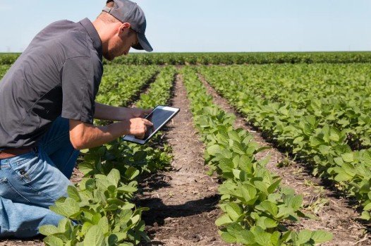 How XR Tools Are Transforming Food, Farming 