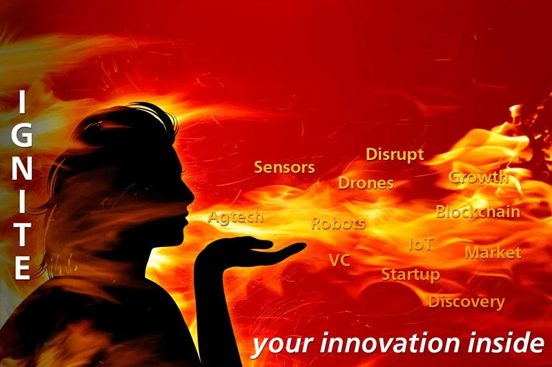 The New Ecosystem of Innovation: Startup Weekends, Hackathons, Incubators &amp; Accelerators
