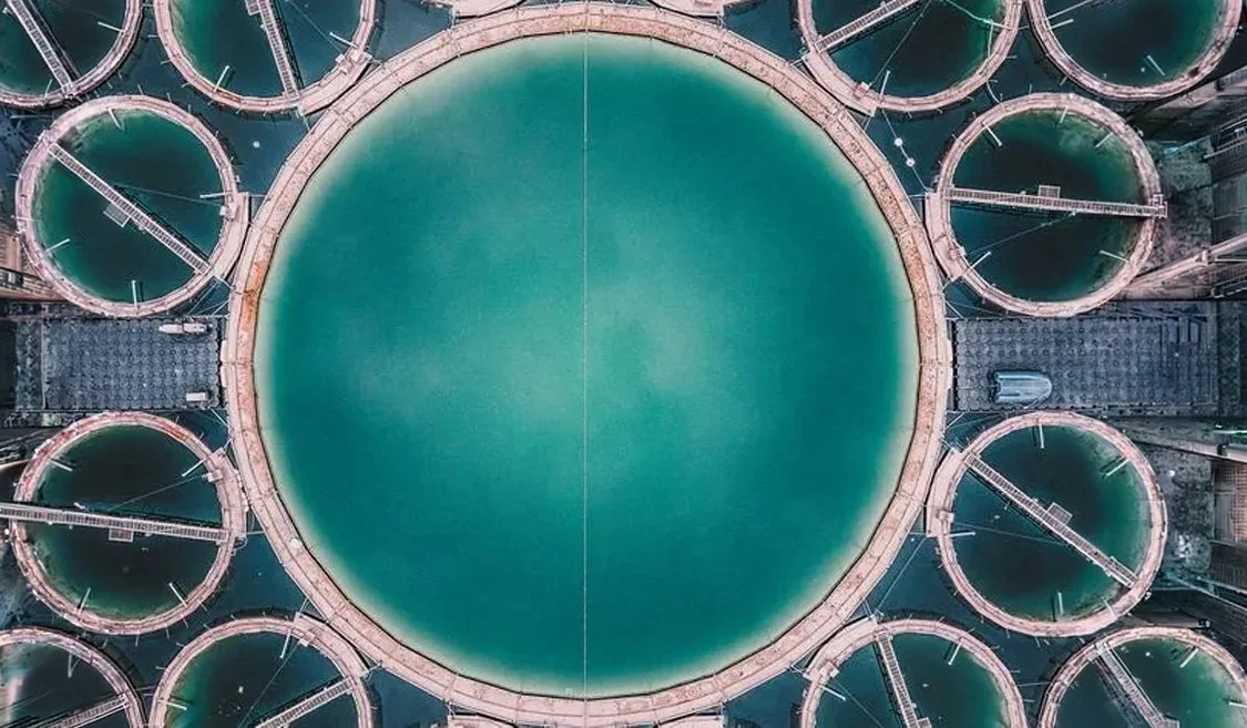 The 'Achilles Heel' Of Fish Farming: Trends In The Development Of Technology To Replace Fishmeal