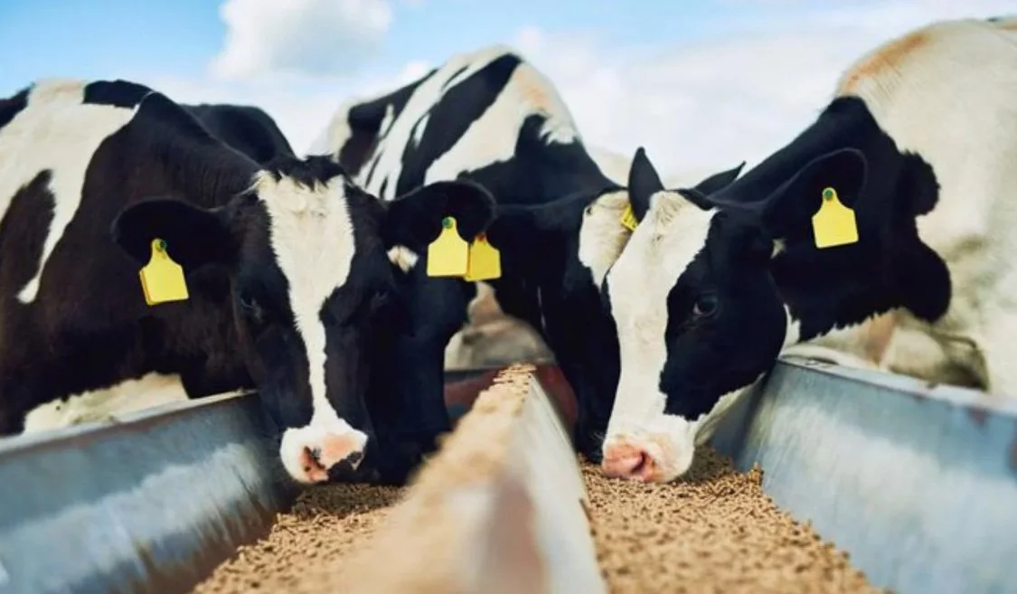 10 Food And Agribusiness Trends And Technologies To Watch In This New Decade