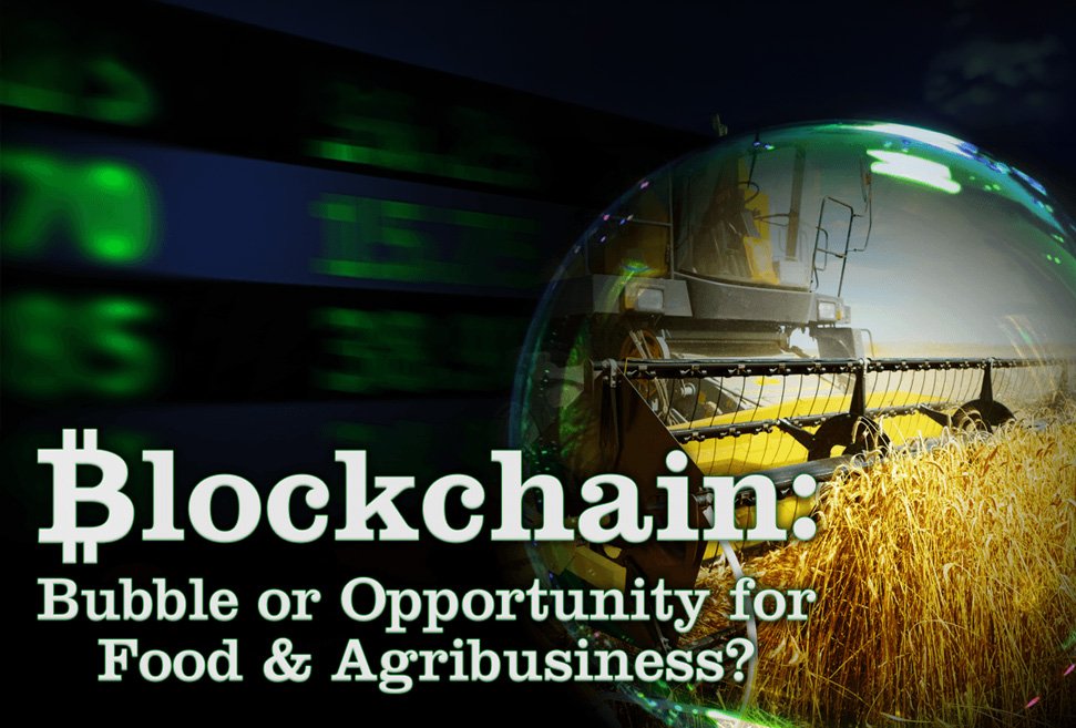 What are the implications of blockchain technology for food &amp; agriculture?
