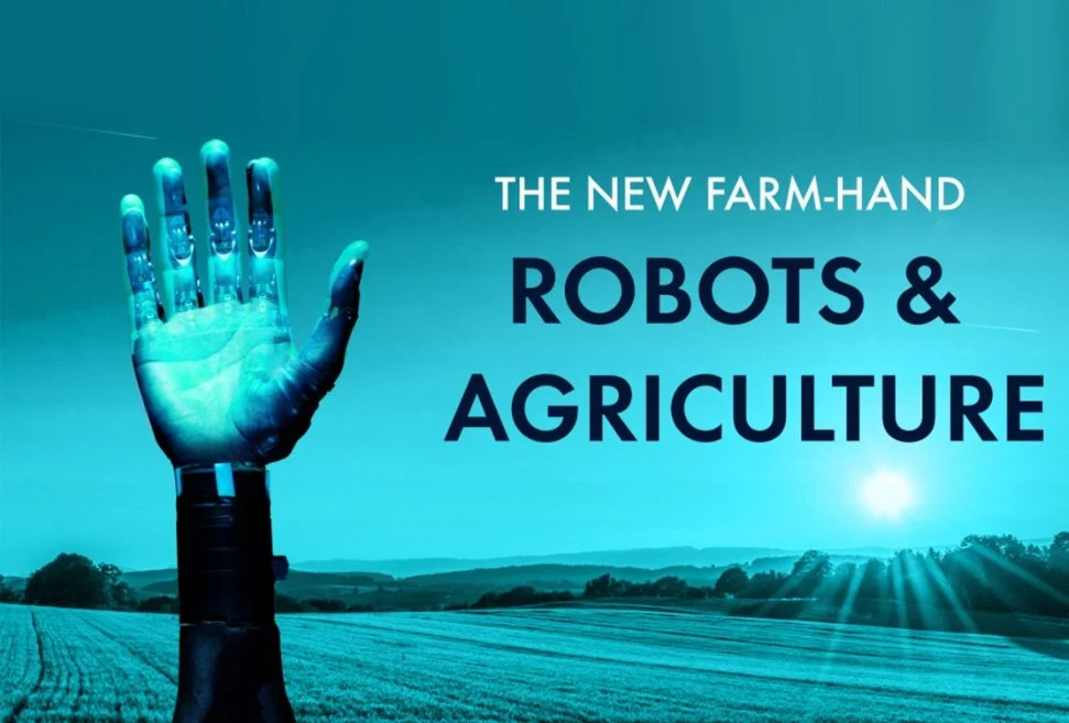 Covid-19 &amp; the Inexorable Rise of the Robot in Food Production