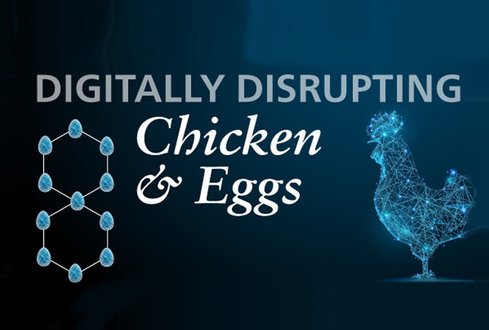 Flocking to digital: Re-imagining the future of poultry through innovation