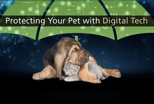 How technology is reinventing your pet's world