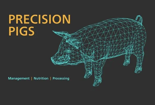 Unlocking the Potential in Pigs with Digital Technology