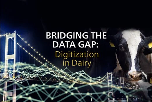 Bridging the Data Gap in Dairy Farming - the promise of digital technologies