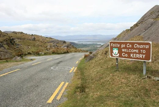 The road less taken: What food businesses can learn from Kerry Group’s Covid-19 strategy