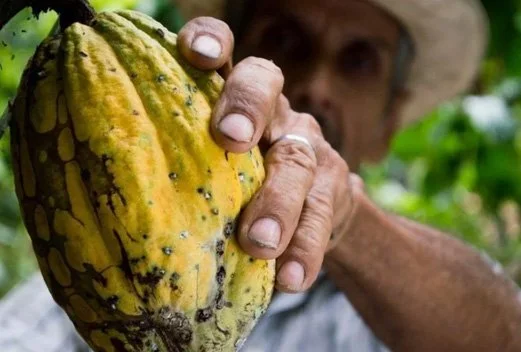 Can AI And Other Technologies Help Us Make Smarter Choices About Food?