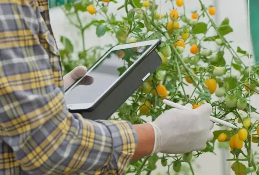 AI In Agri-Food: Hype, Hope And The Hard Questions CEOs Must Ask Now