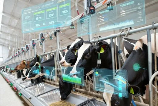 Artificial intelligence in dairy: From data abundance to data advantage (Copy)