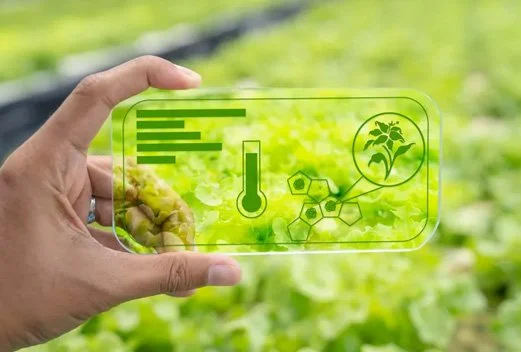The Jevons Paradox Comes To Agriculture: Can Ag Increase Growth And Lower Impact At The Same Time?