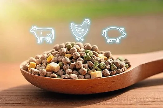 Technology and AI: The new ‘chef’ producing a precise nutrient bite for livestock