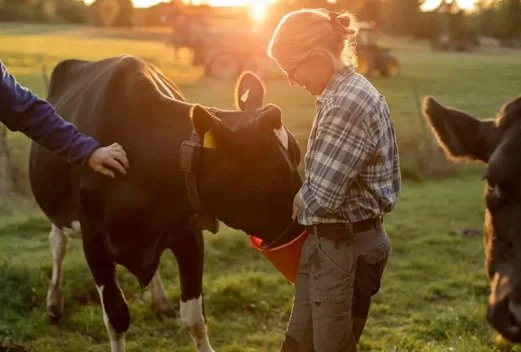 Precision Nutrient Tech For Better Meat, Milk And Egg Production