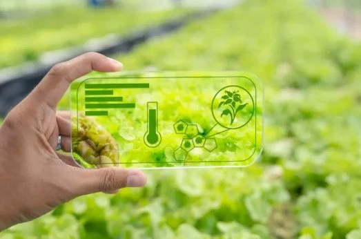 Hand holding a transparent digital interface with agricultural icons over a crop field, representing technology‑enabled sustainable farming and the Jevons Paradox.