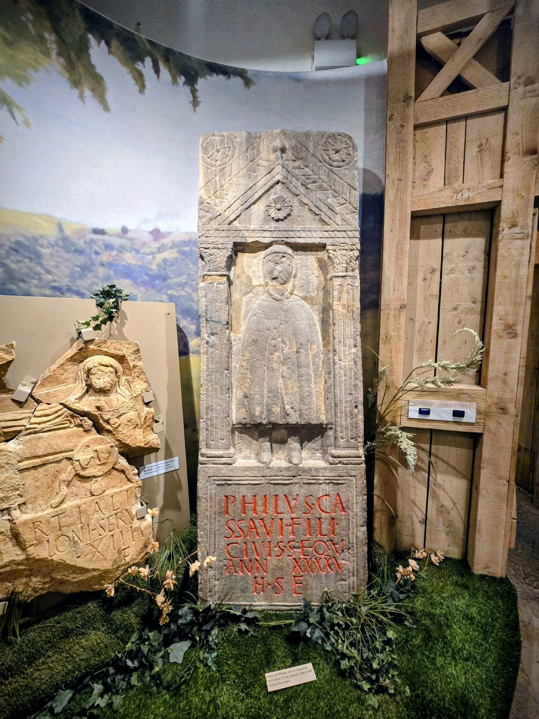 Ancient carved stone tombstone with a figure of a person and Latin inscriptions, displayed with greenery at a museum.