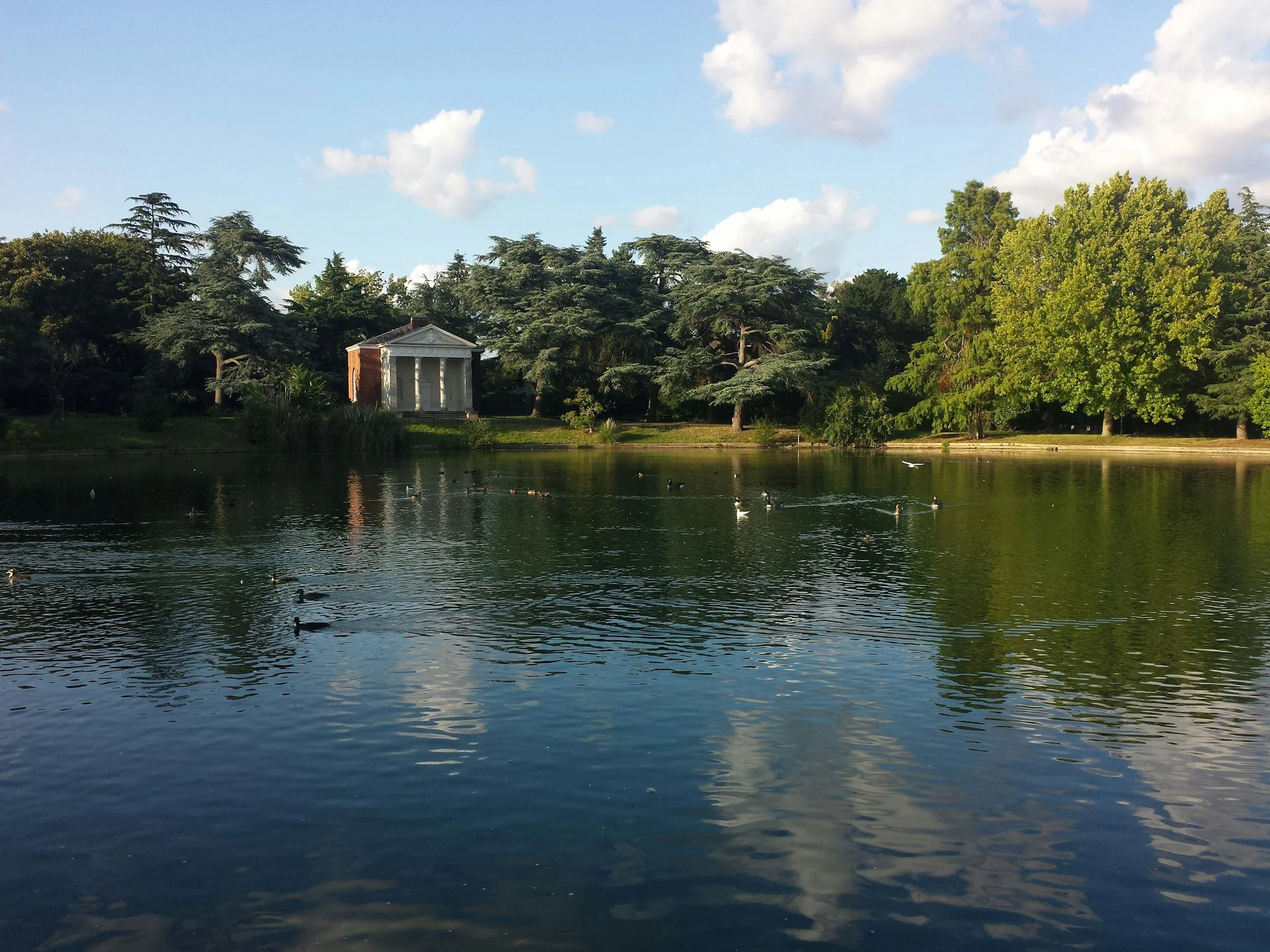 A serene park scene with a pond, ducks swimming, lush green trees, and a white classical pavilion in the background under a partly cloudy sky.