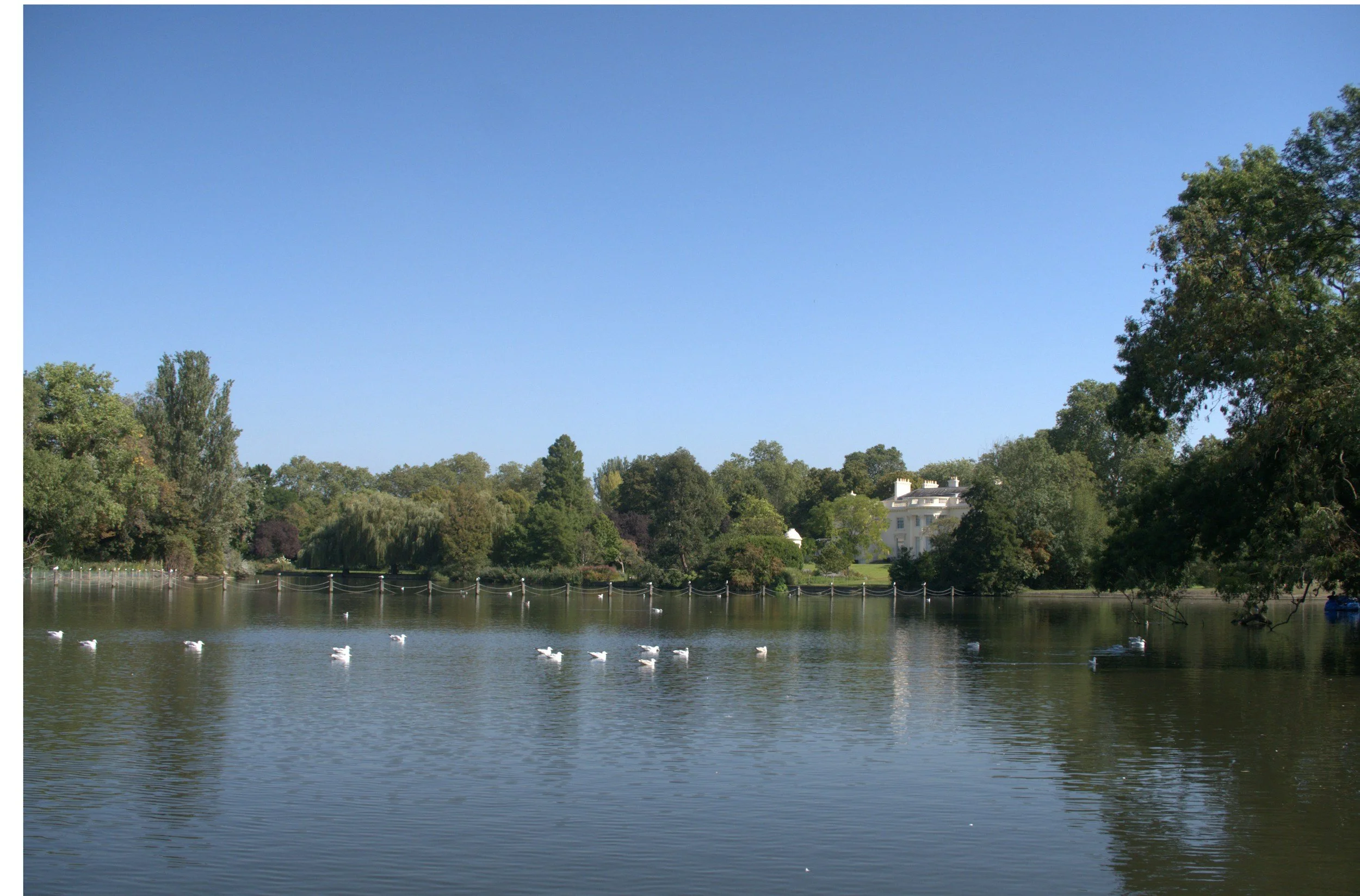 Buckland Park Lake Surrey