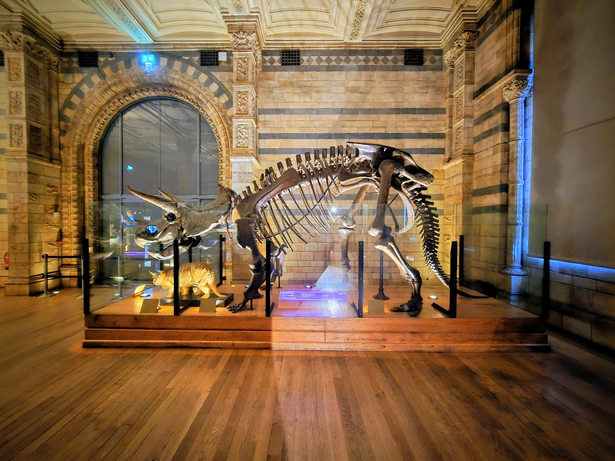Where Can You Find the Best Prehistoric Exhibits in London?