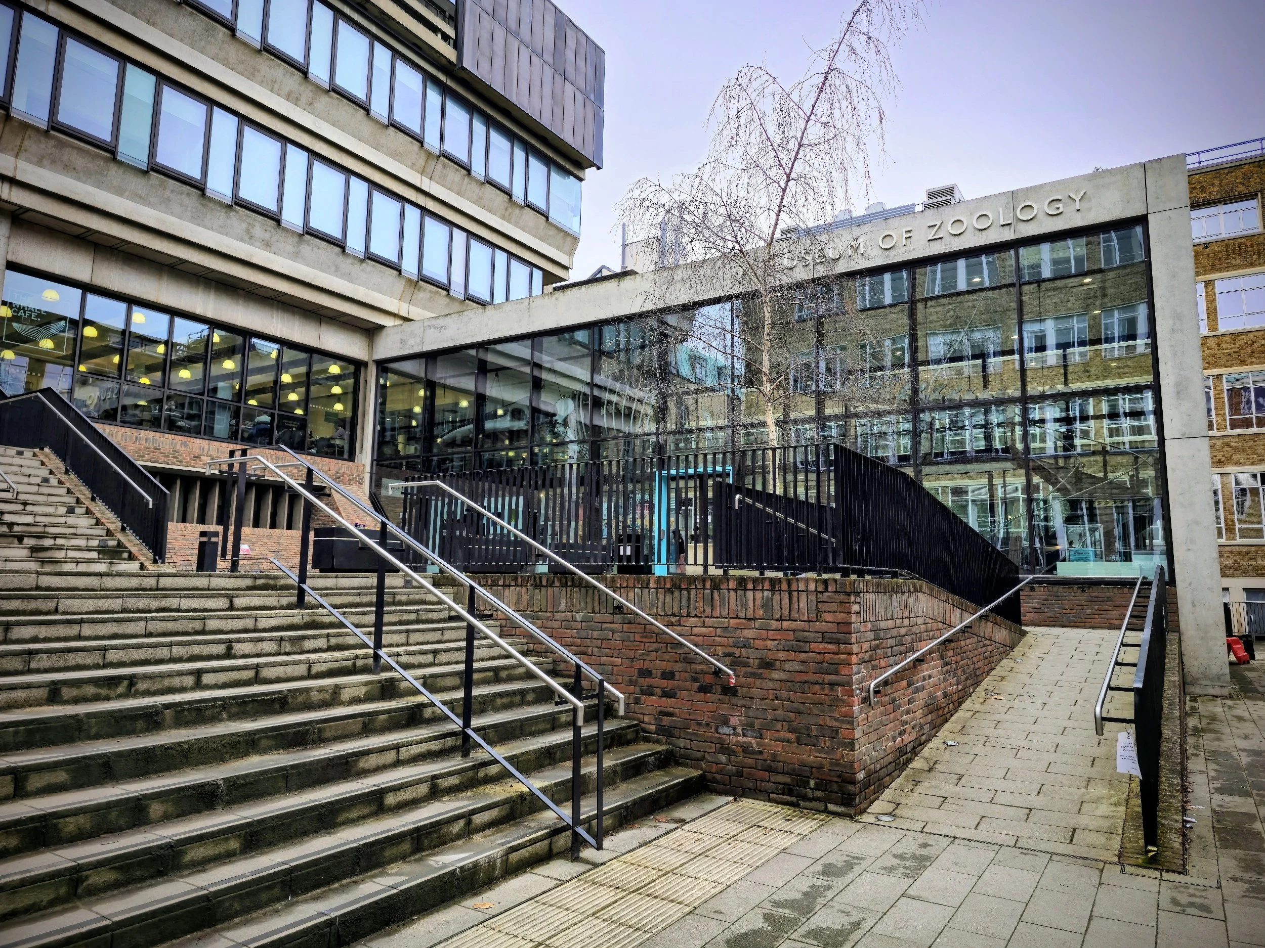 Exterior of the Museum of Zoology with stairs, railing, and large glass windows reflecting the surroundings.
