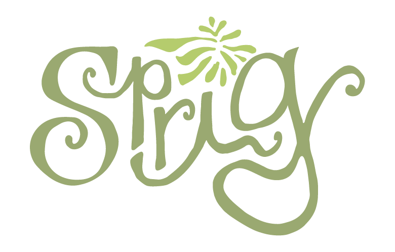 Lucky Duck Creative Agency (Copy)