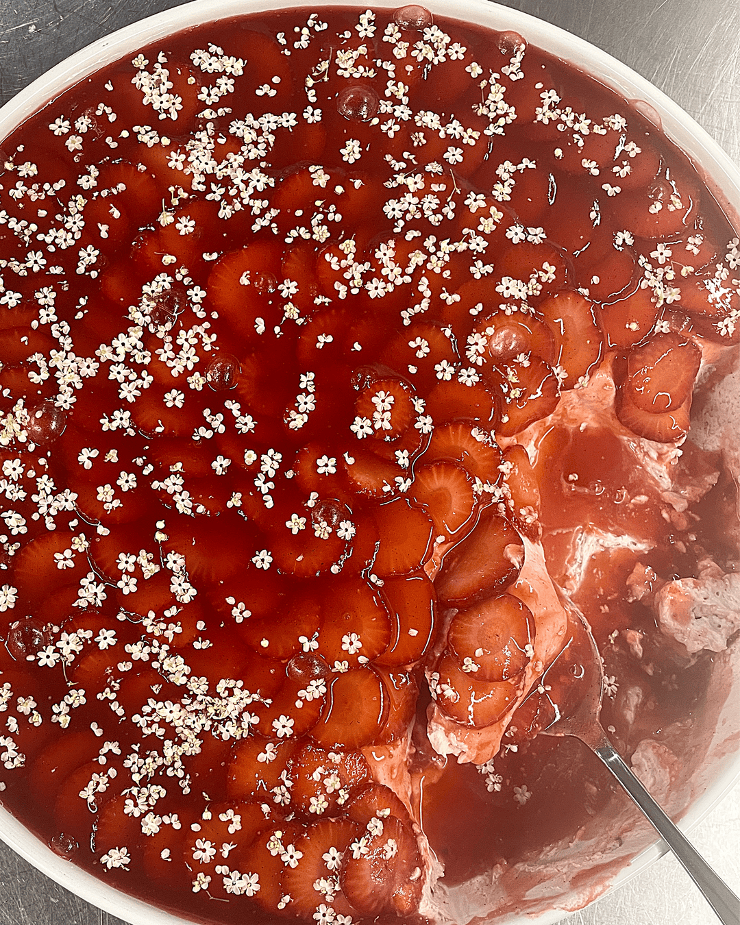 forweb-edited-photo (2).png