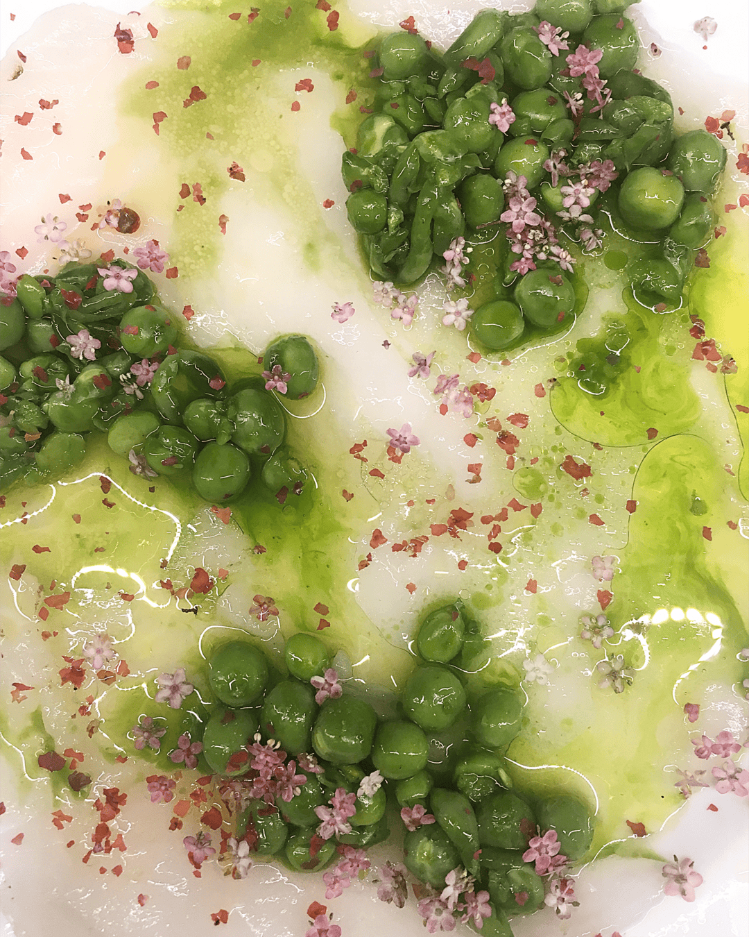 forweb-edited-photo (1).png