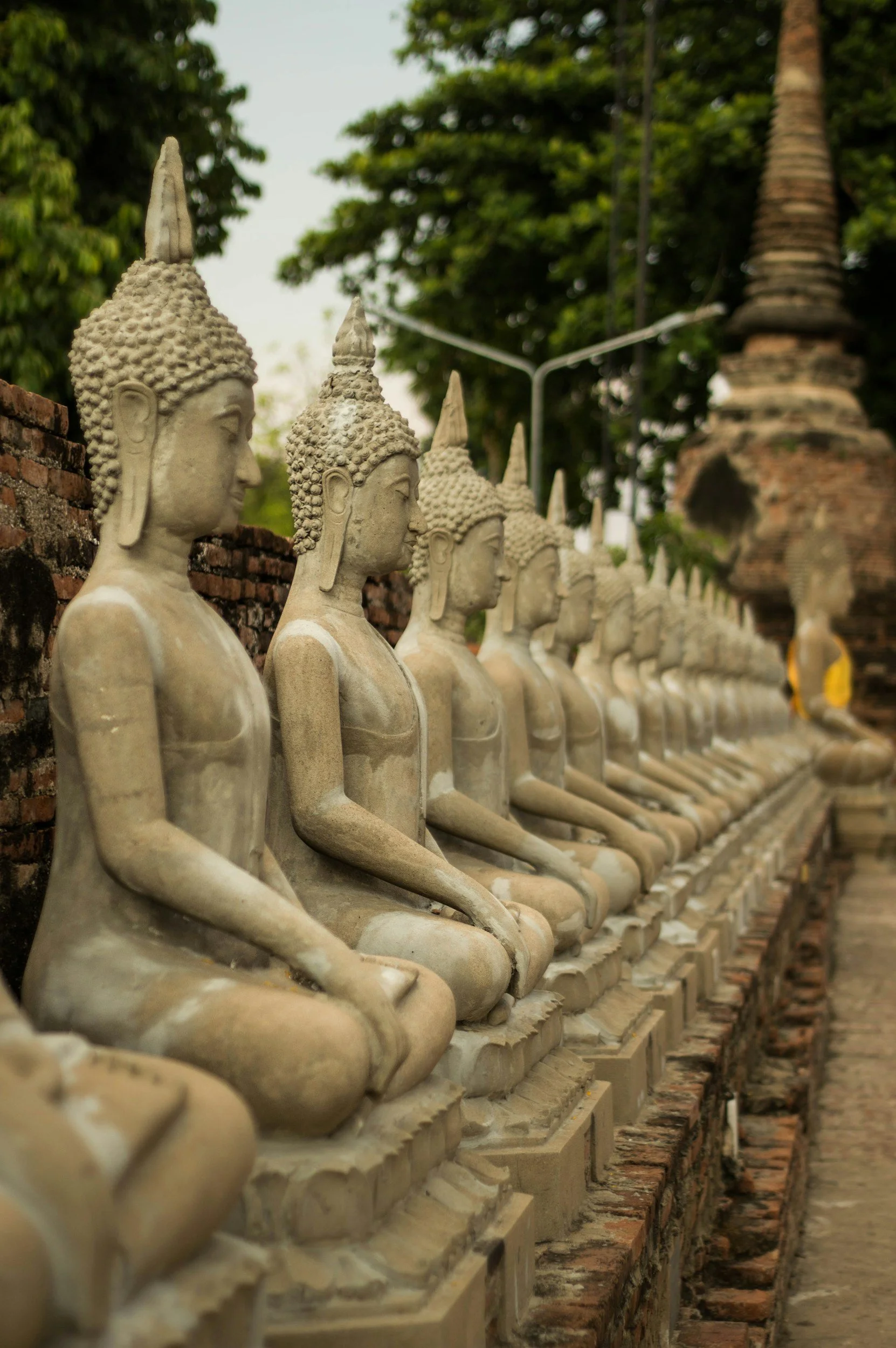 Row of stone Buddha statues sitting on a brick wall outdoors, with green trees and sky in the background.