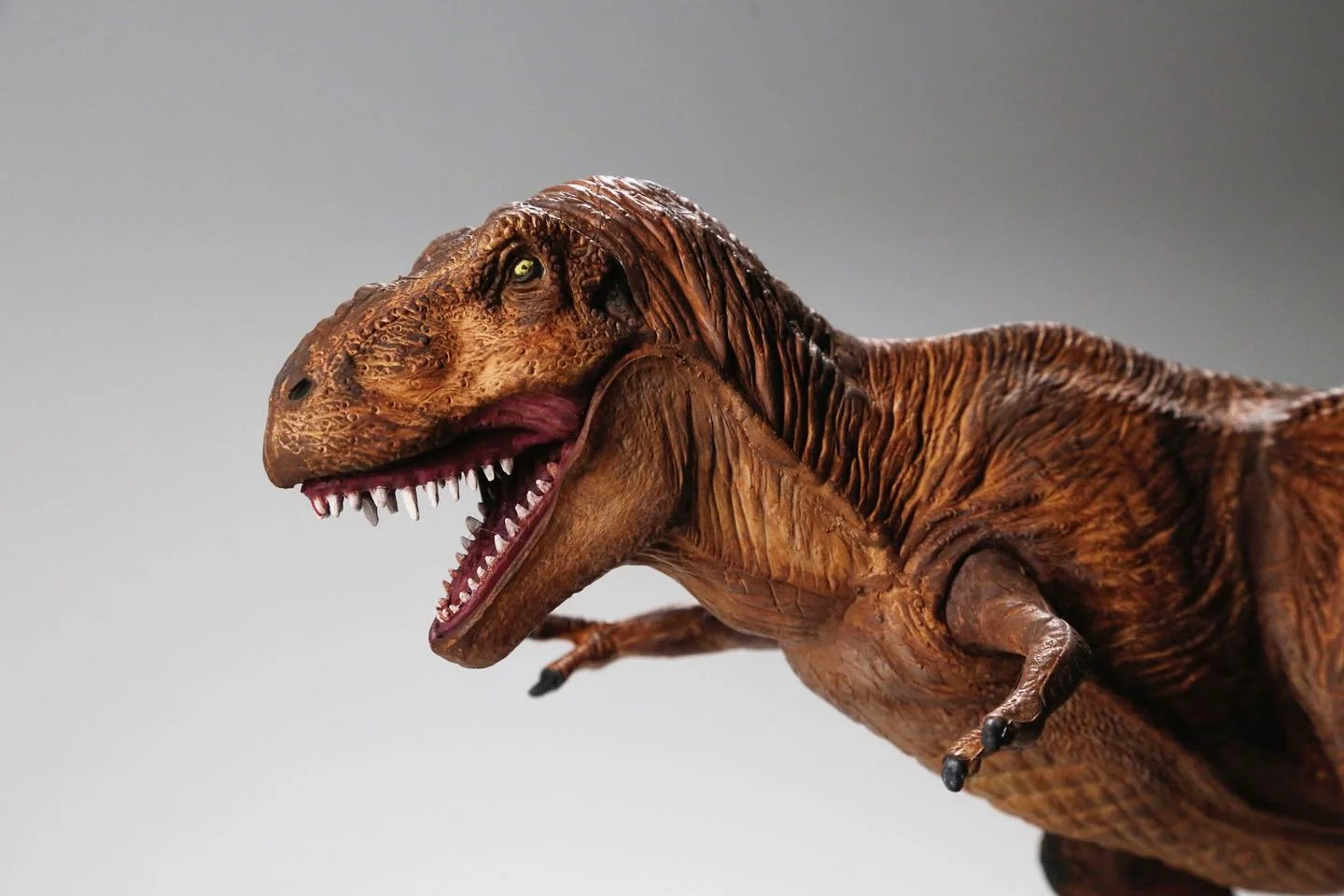 2 T-Rex.jpg