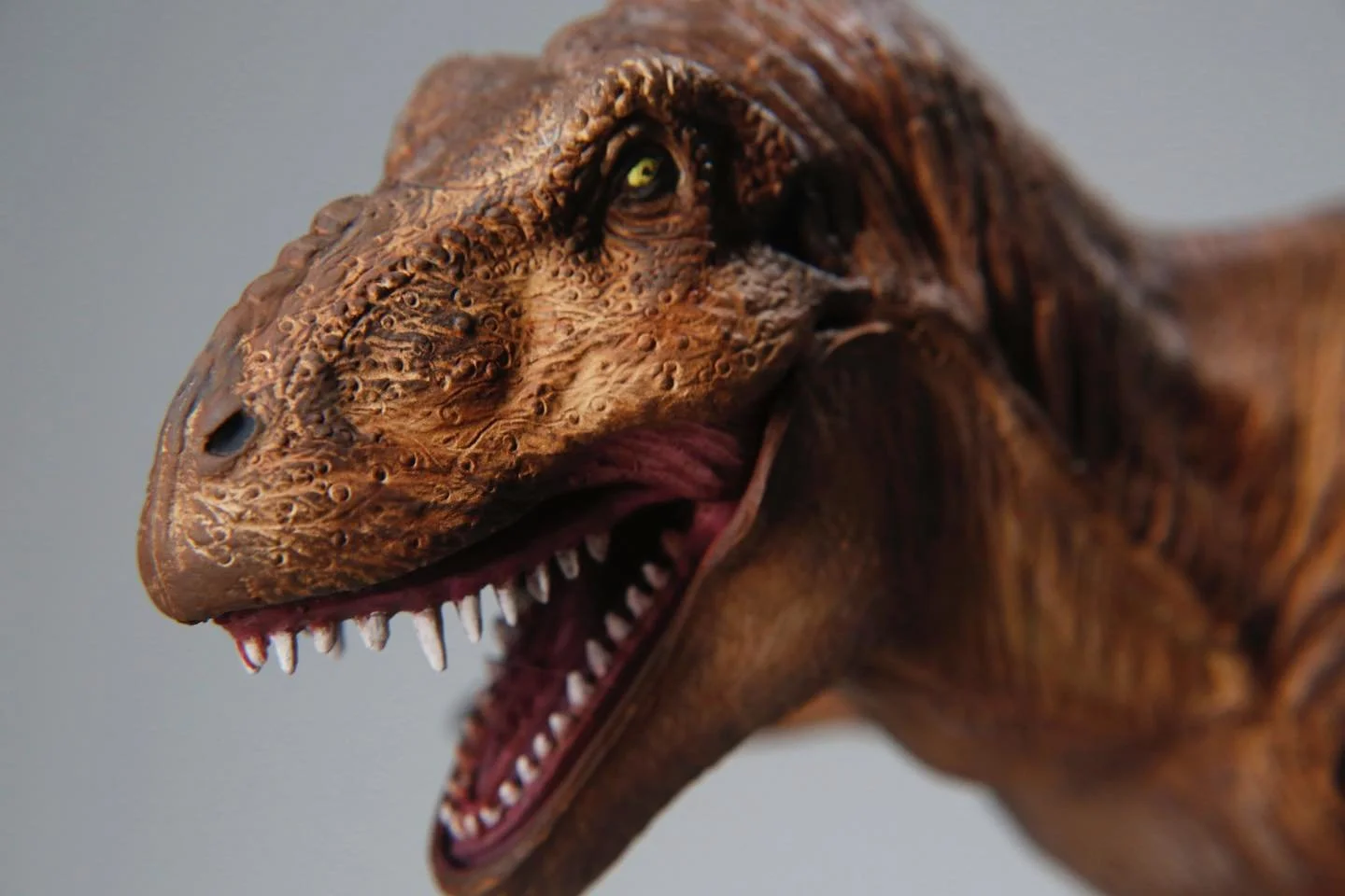 3 T-Rex.jpg