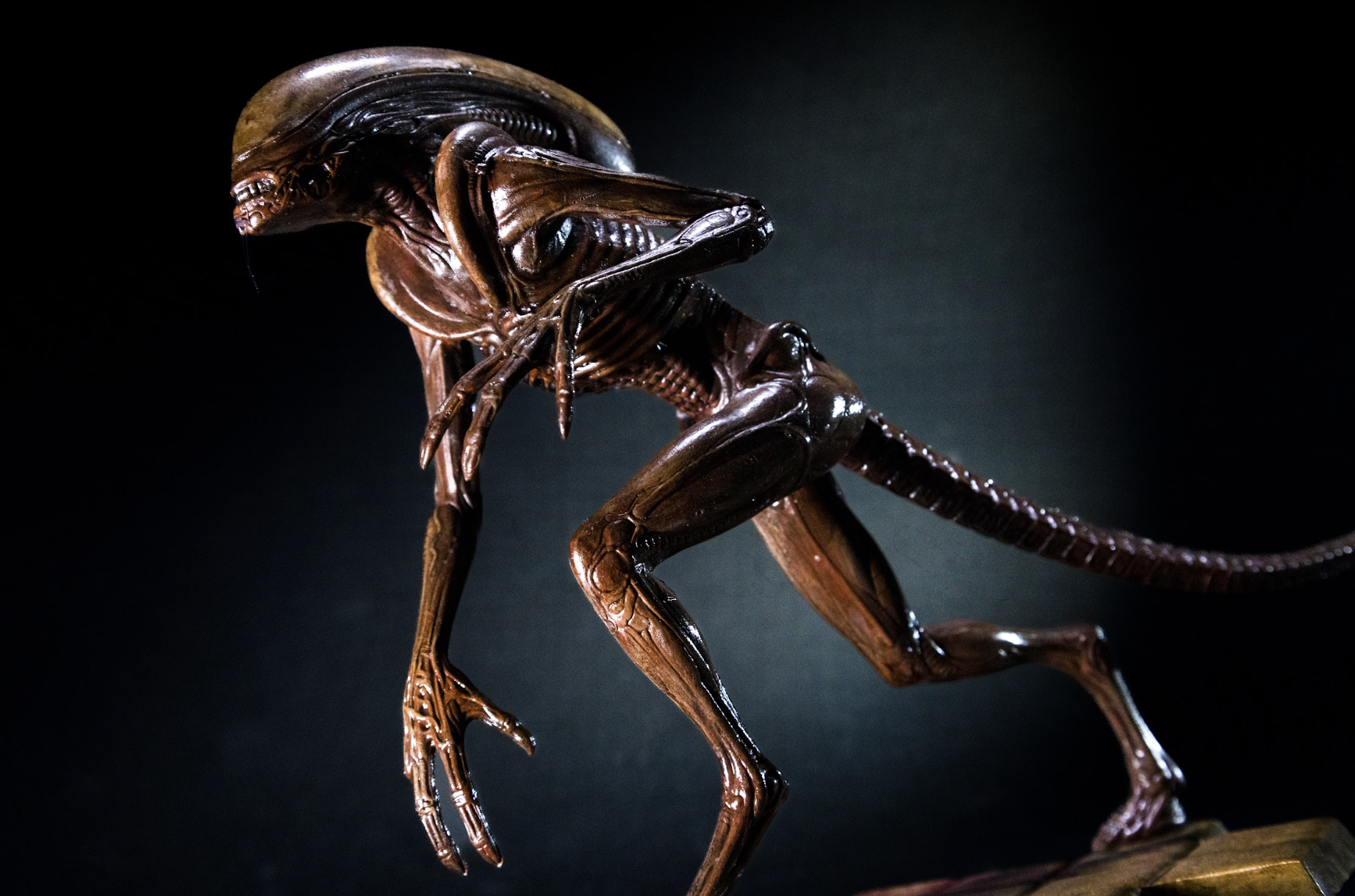 Alien-2.png