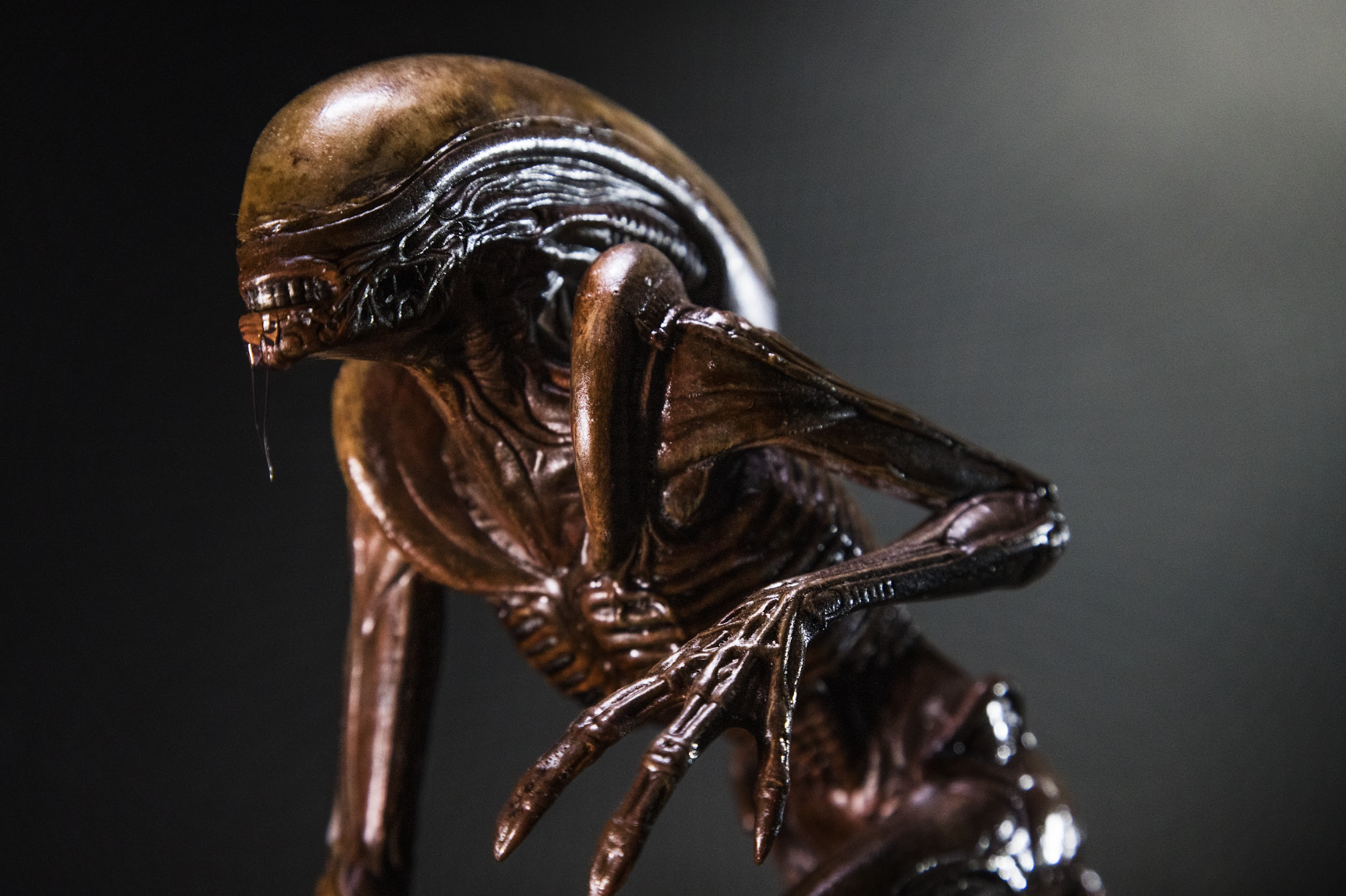 Alien-1.png