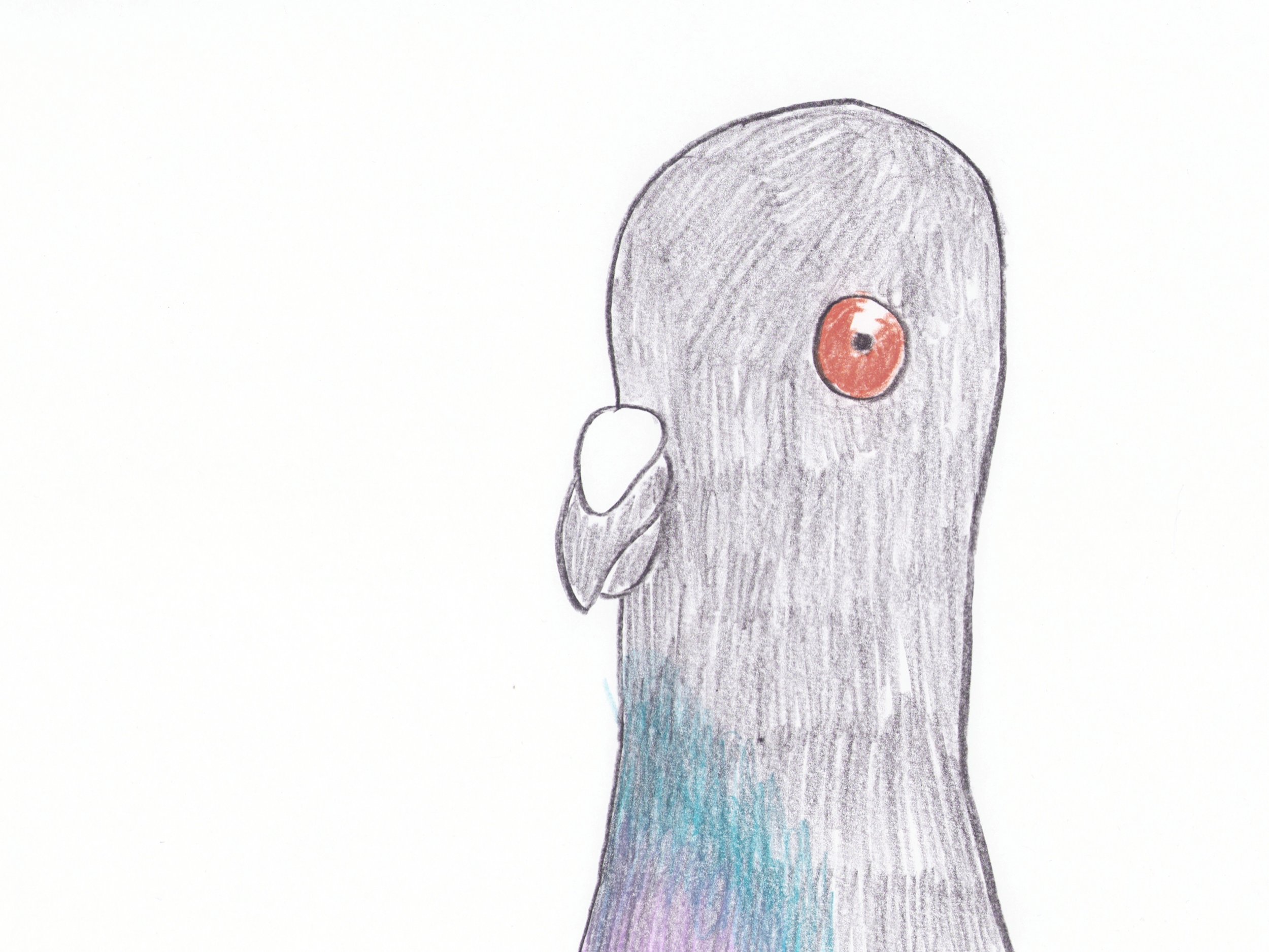 Pigeon Businessman Final.01_01_52_21.Still019.jpg