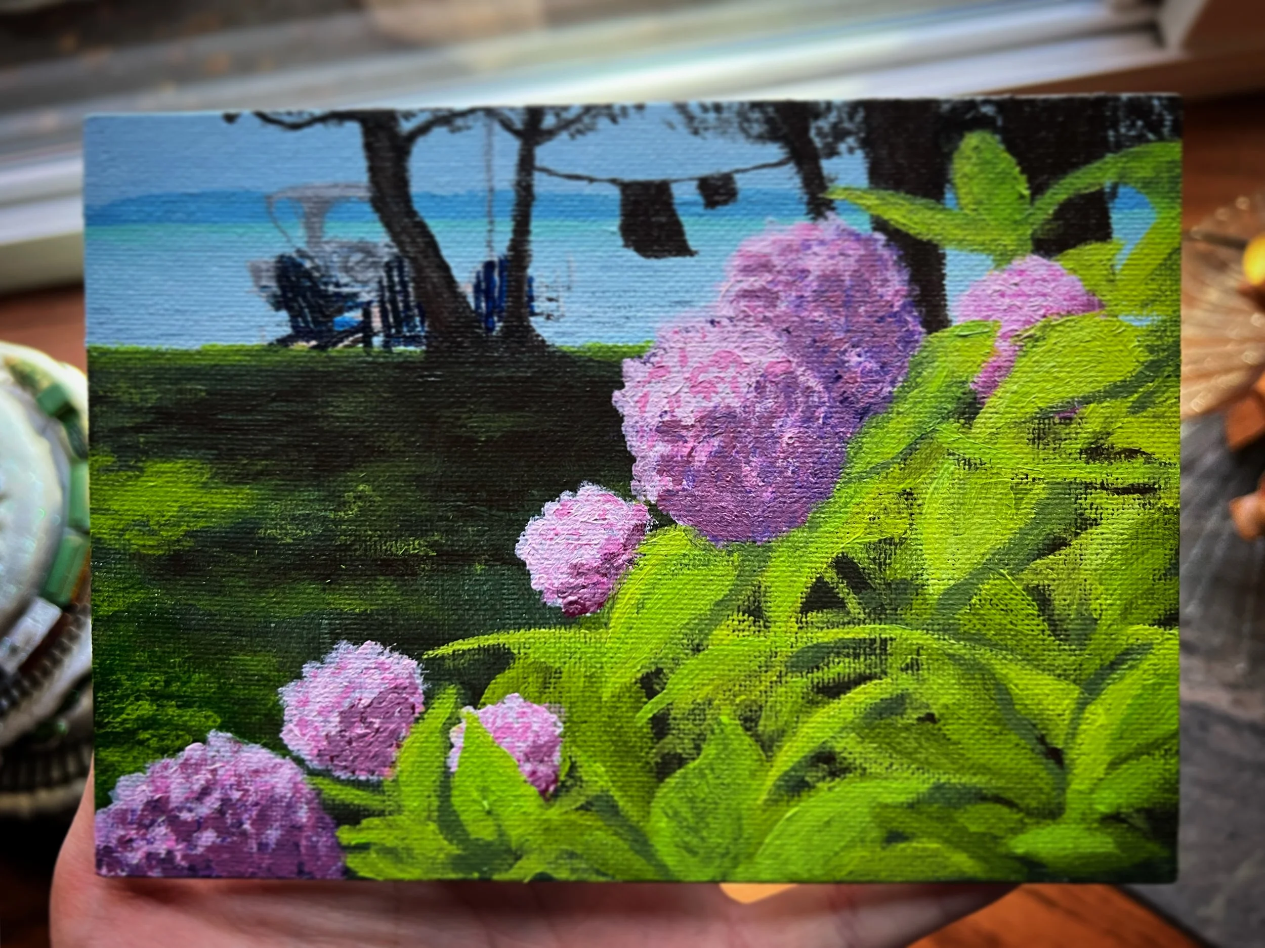Grandma’s Hydrangeas