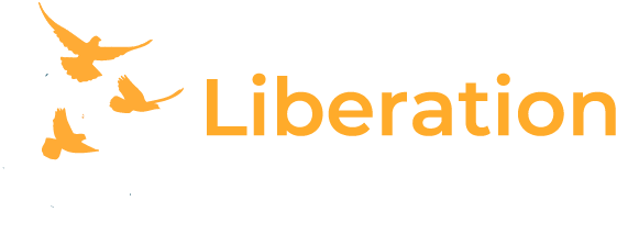 Liberation Coaching