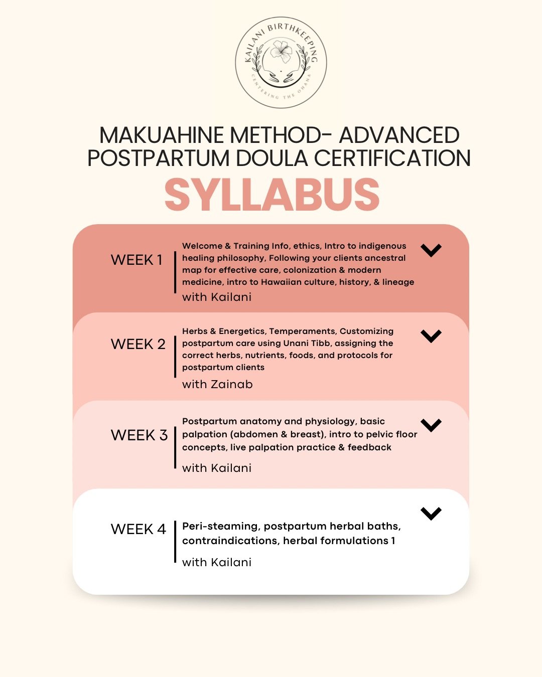 A sneak peek into our upcoming postpartum doula training!

We will be releasing more info about our guest speaker partners in the coming days 🌺 we have some incredible wise women in our line up including my mom 🫶🏻

Our pre-sign ups are still open,