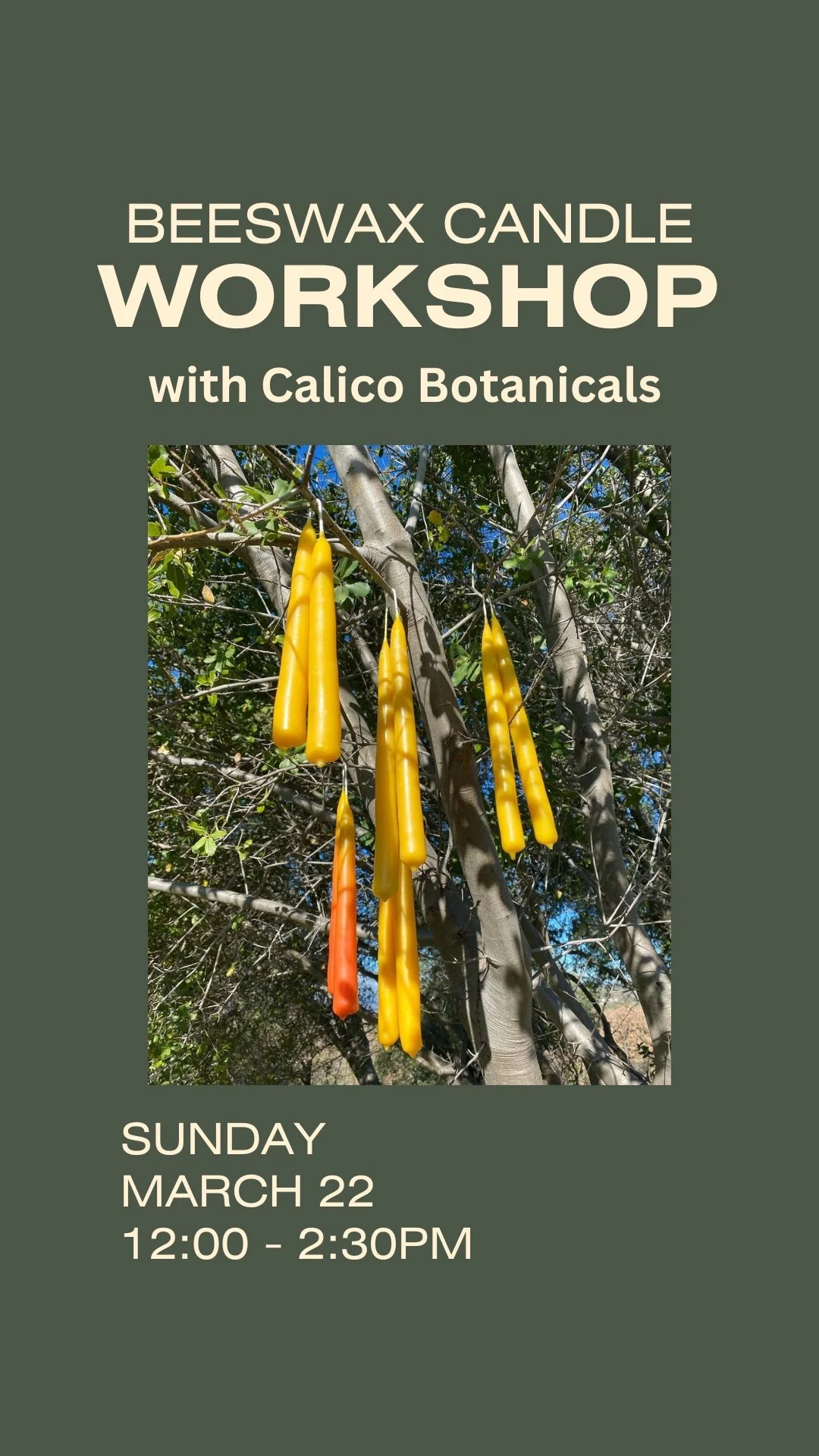 Beeswax Candle Workshop