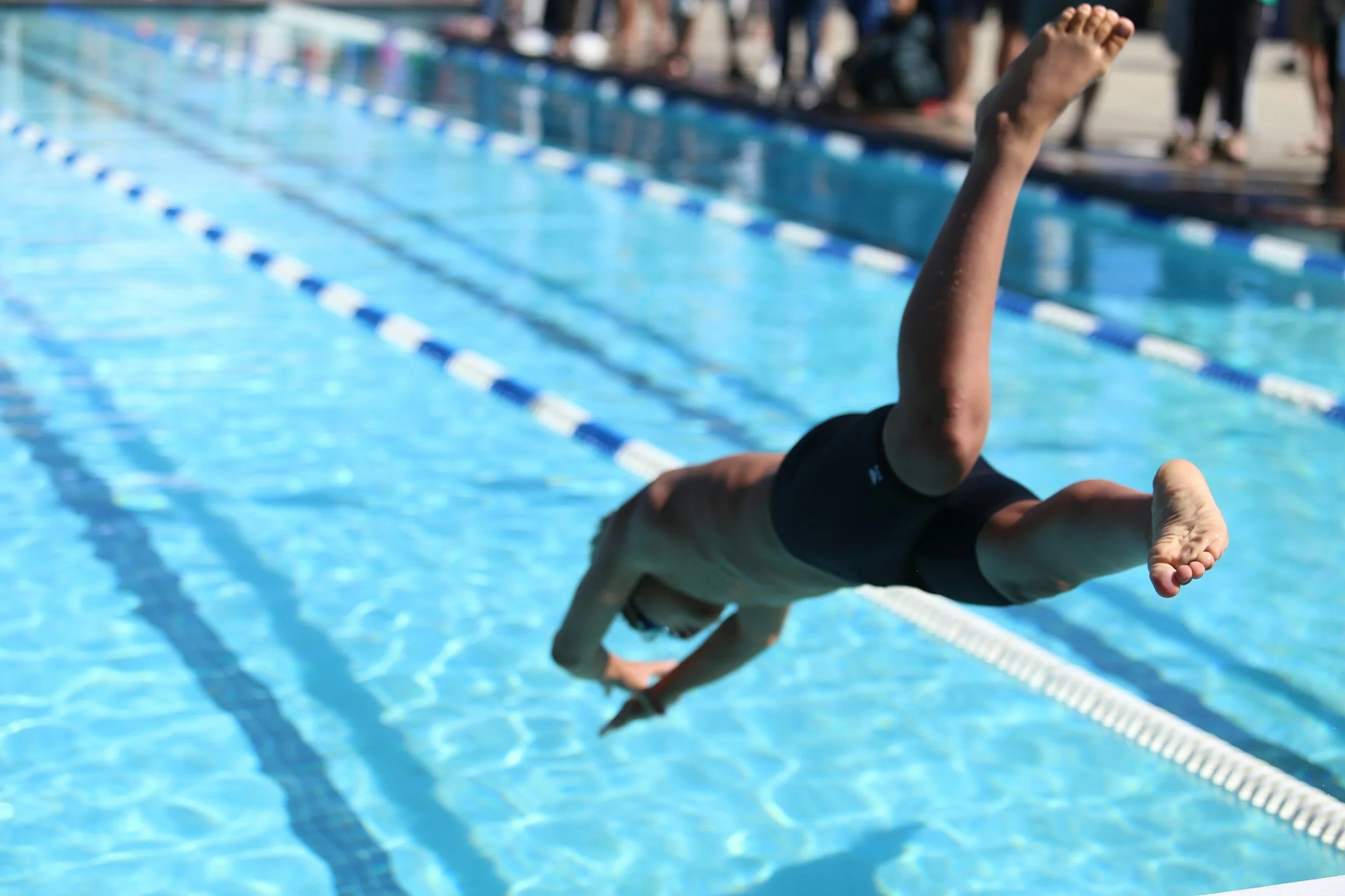 Swimmer diving into a competition swimming pool during a race.