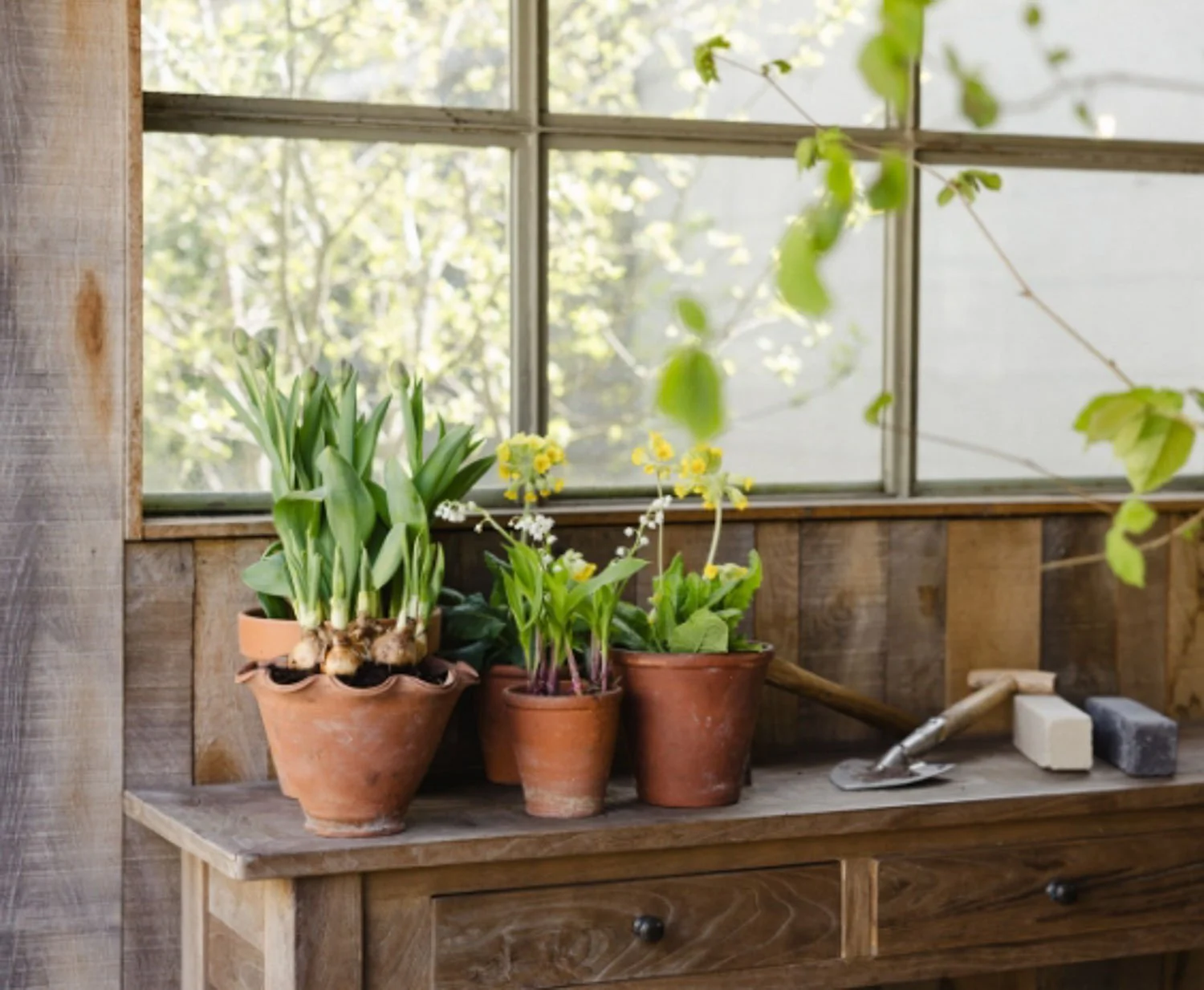 Garden Design in Sevenoaks: Creating Elegant Gardens for Kent Homes