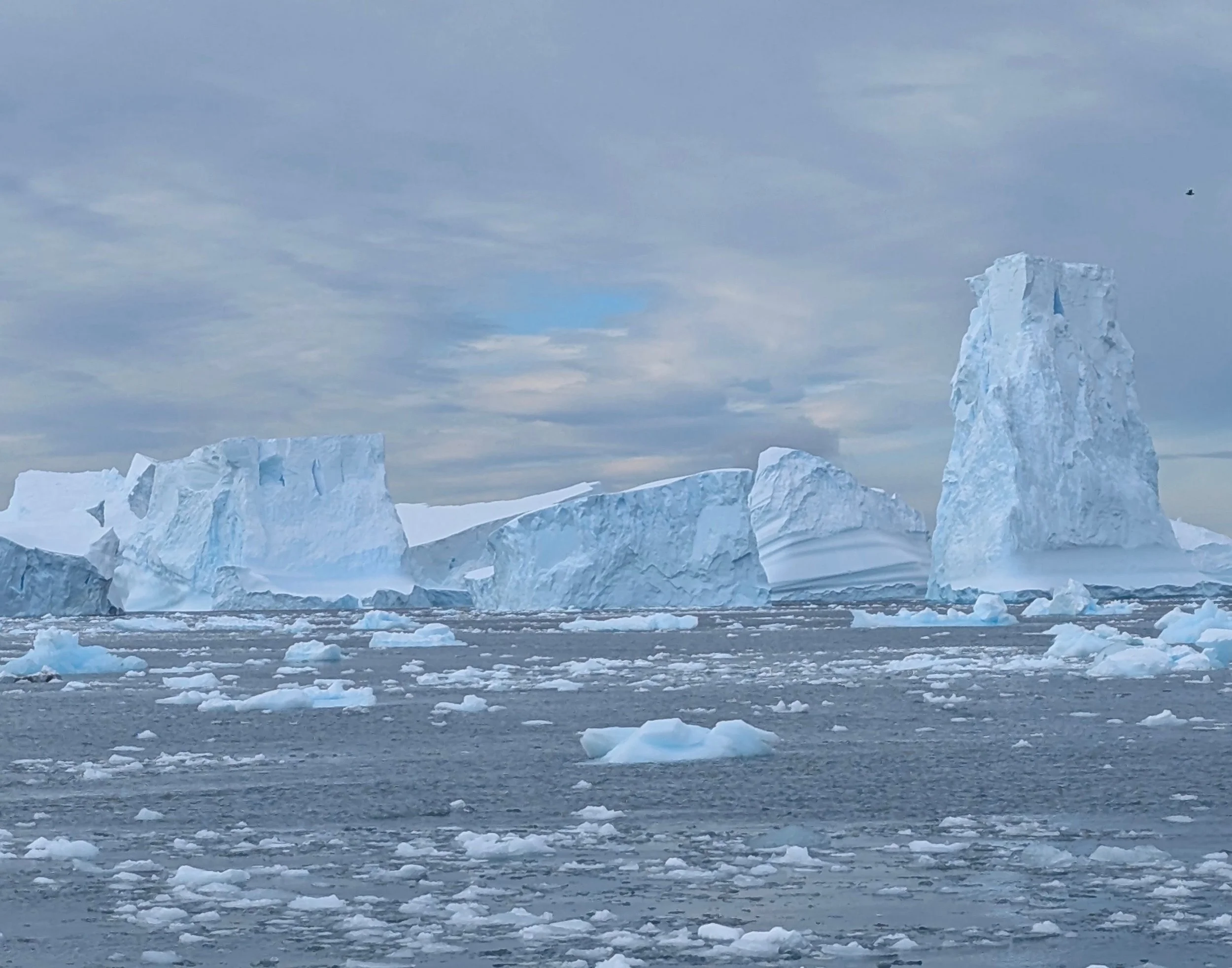 iceberg Antarctica 2025