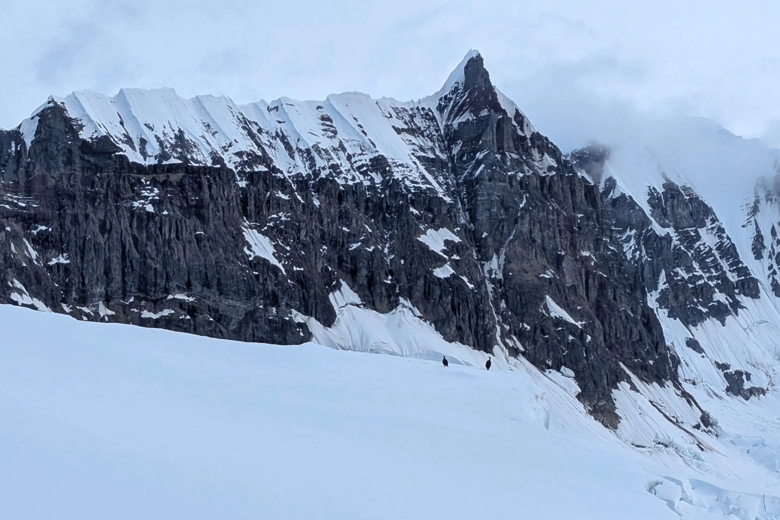 Cathedral like rock Antarctica 2025