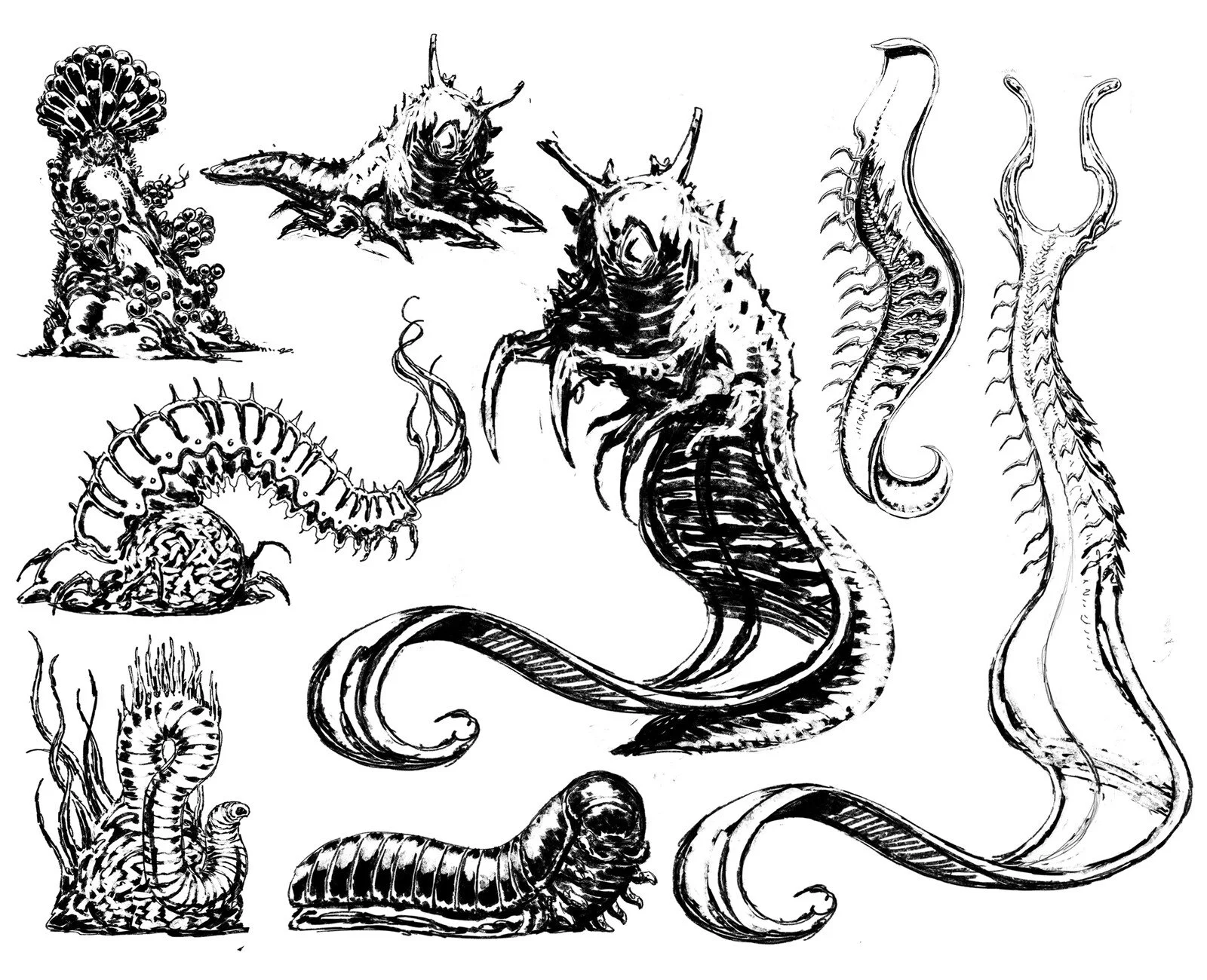 Black and white sketches of various sea creatures including seahorses, a fish, and barnacles.