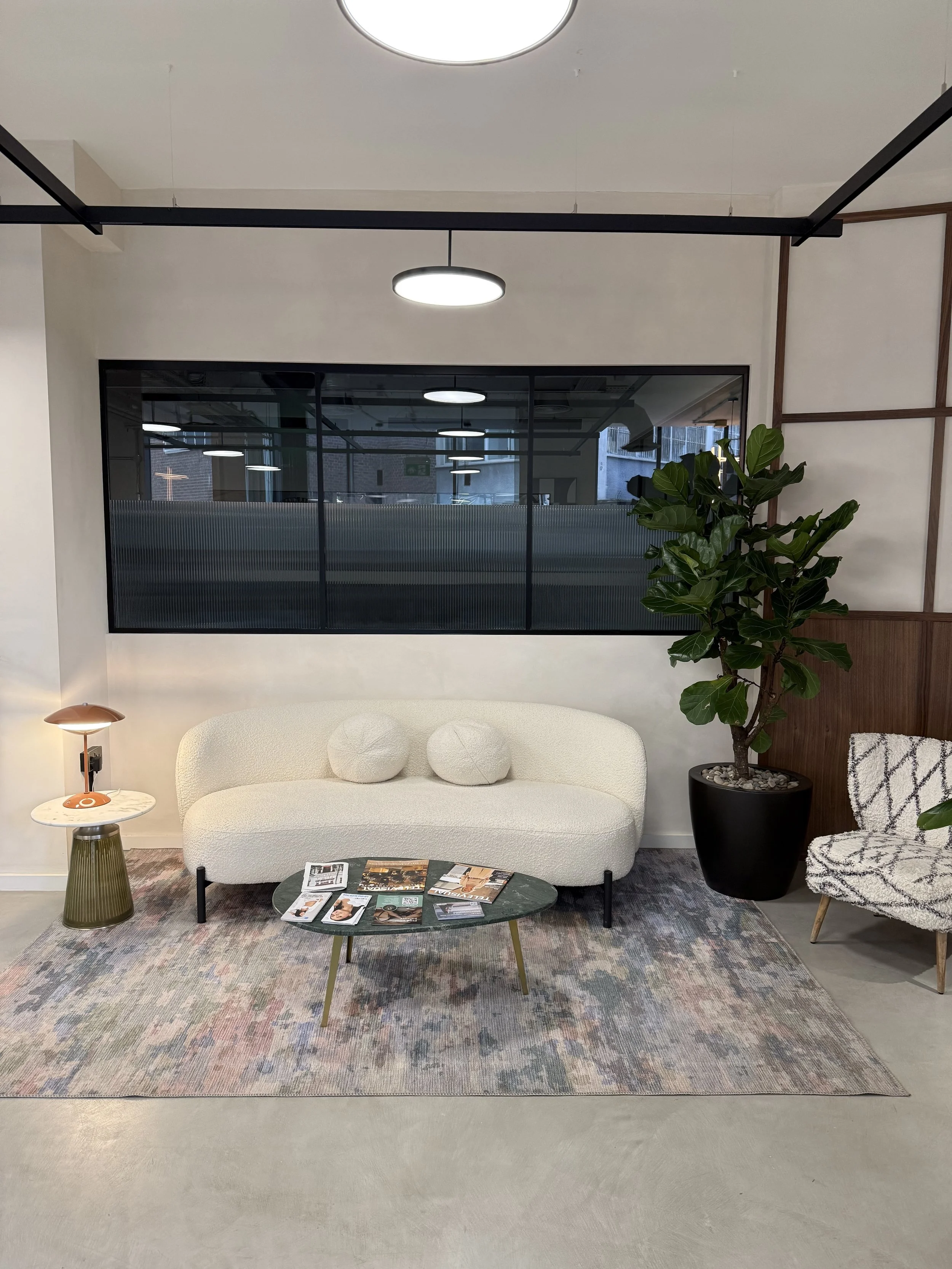 Modern interior living room with a white sofa, a black coffee table with magazines, a green side table with a lamp, a potted fig tree, area rug, and glass window with blackout blinds.