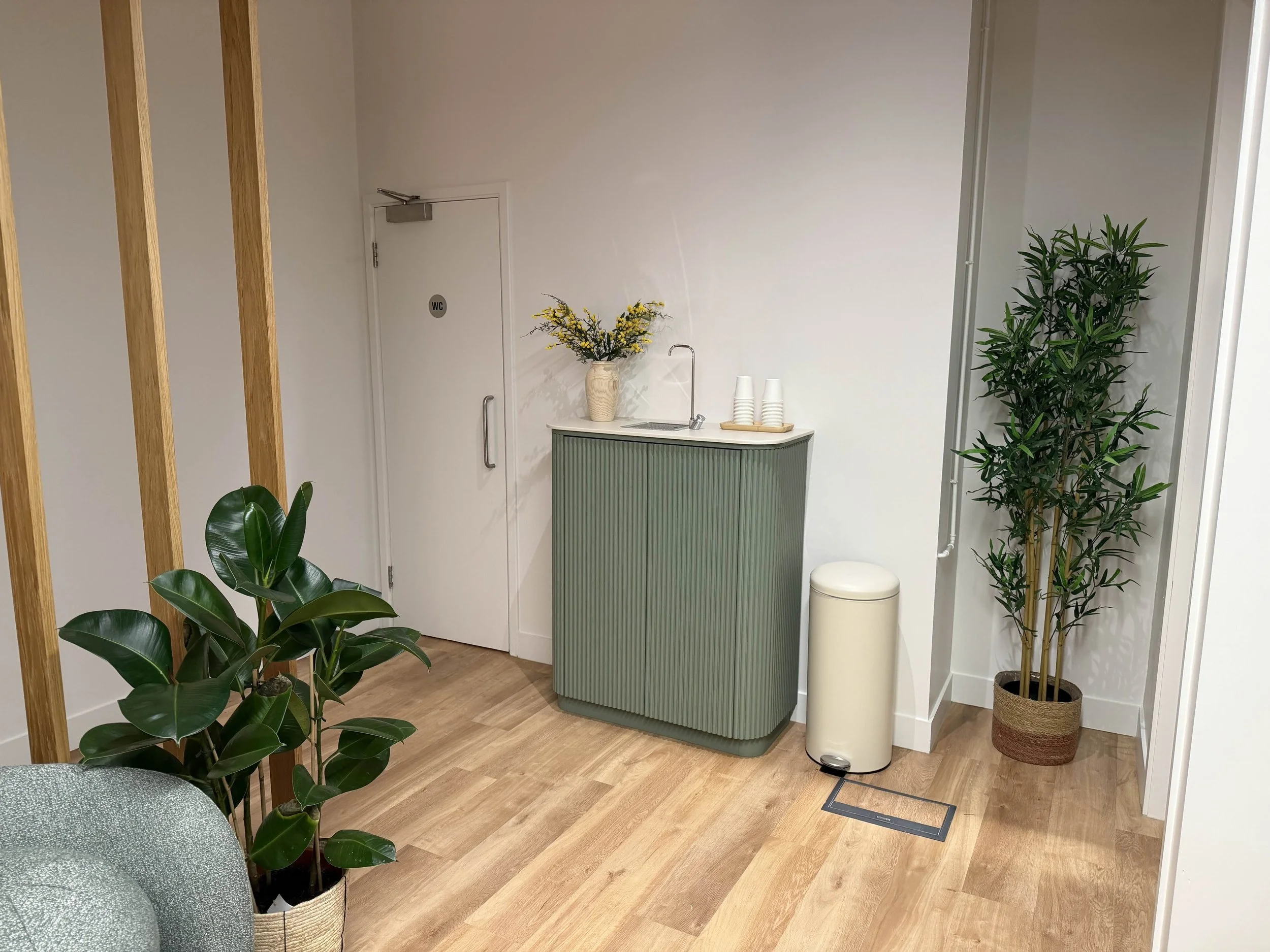 Interior of a modern room with wooden flooring, green plants, a small green cabinet with a vase of yellow flowers, disposable cups, and a white trash bin, with a door labeled 'WC' and partially visible wooden vertical beam.