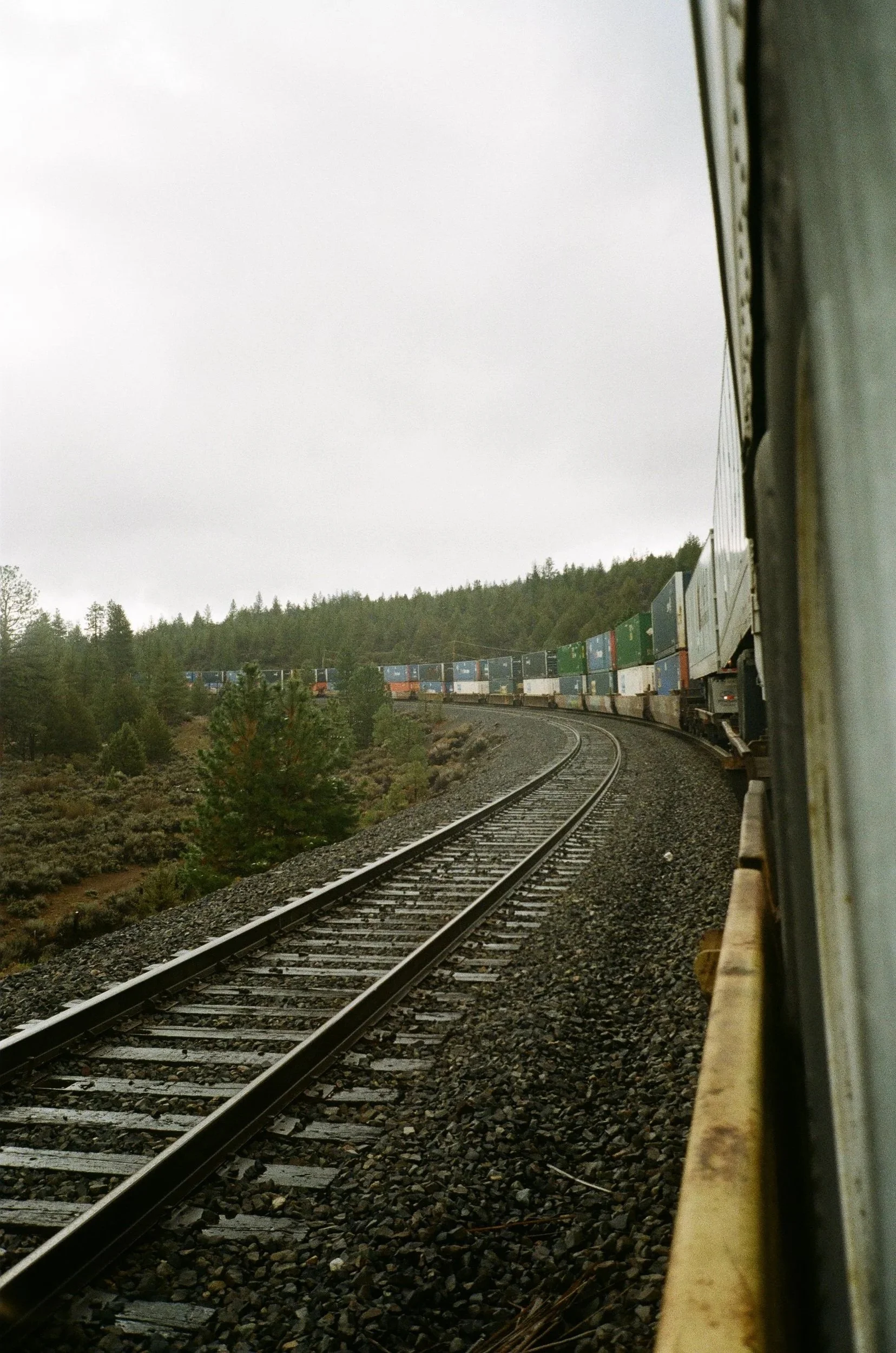 Perfect Day ✷ a few hours outside Mount Shasta