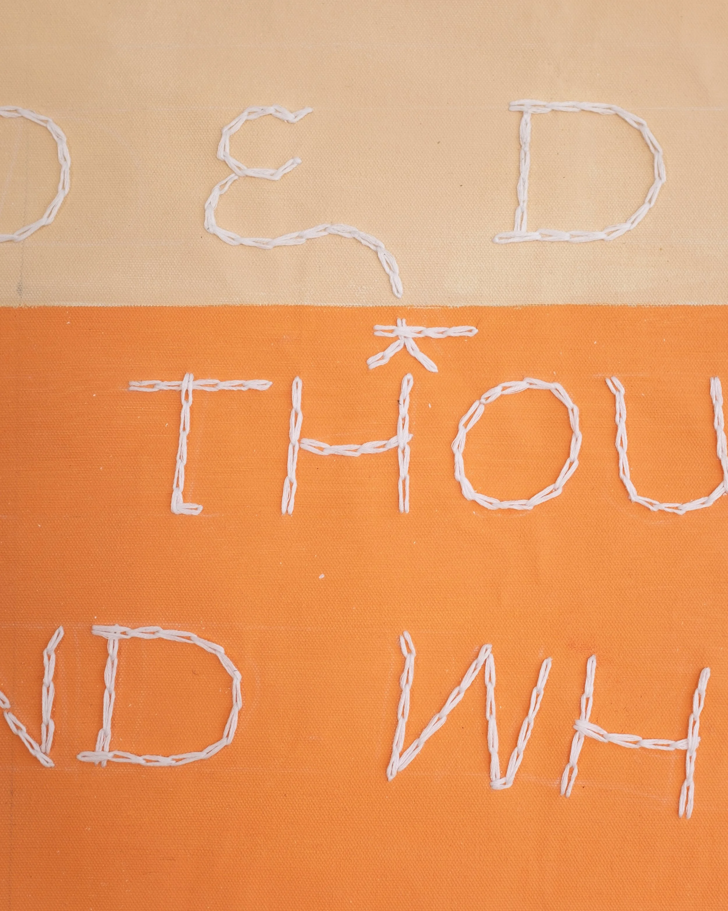 Dalmation Minded ✷ Detail