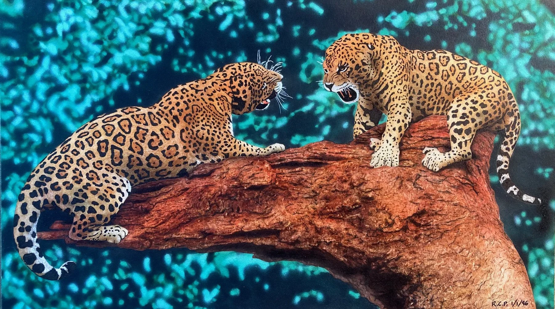 Jaguars - Ink, airbrush watercolors & acrylic